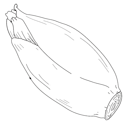 endive