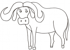 buffle