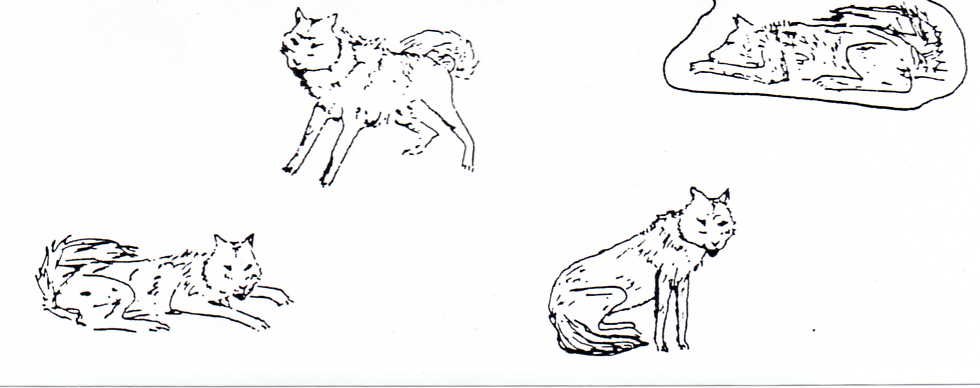 Nouvelle page 1 - Le Loup Et Le Lion Fin Triste