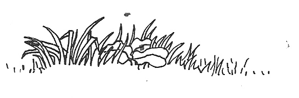 serpent