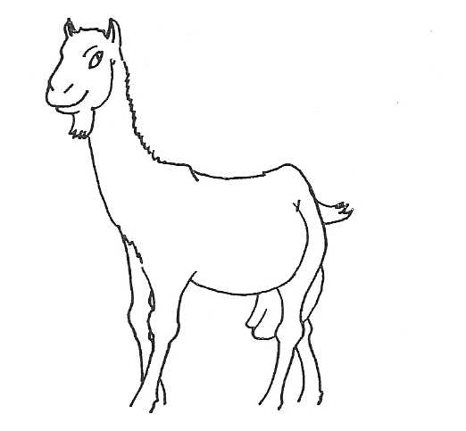 Djali