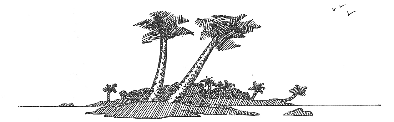 oiseau