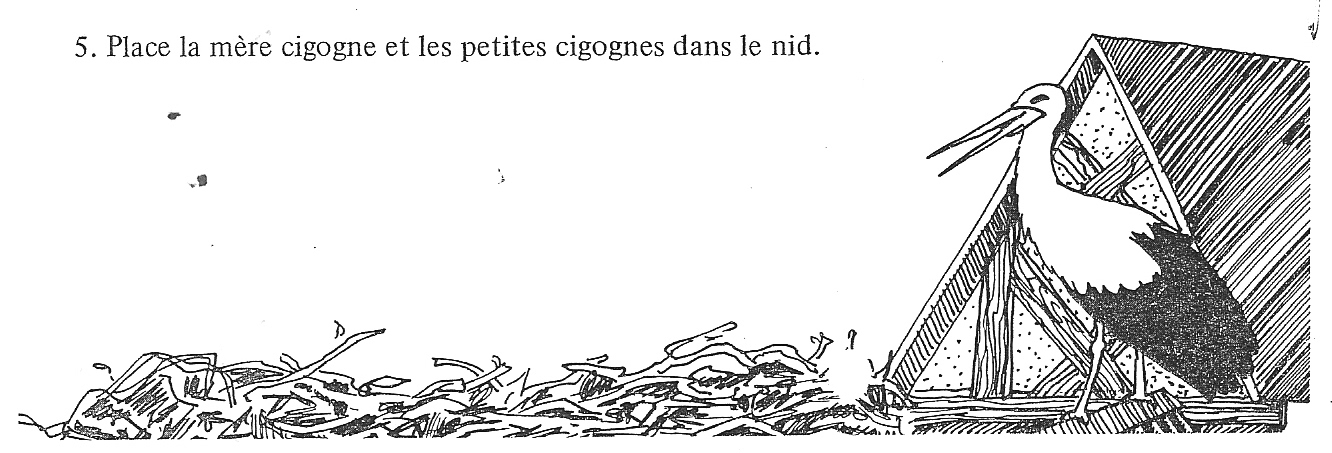 cigogne