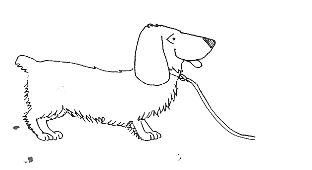chien