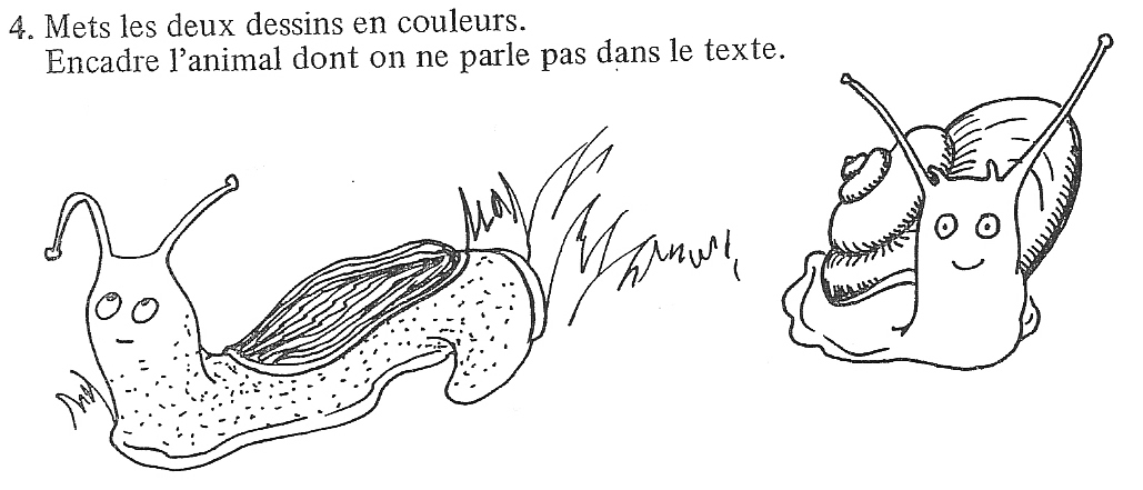 escargot