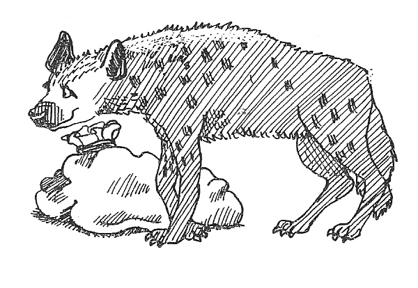 lièvre