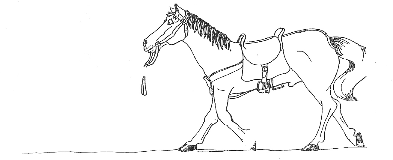 la noisette d'or