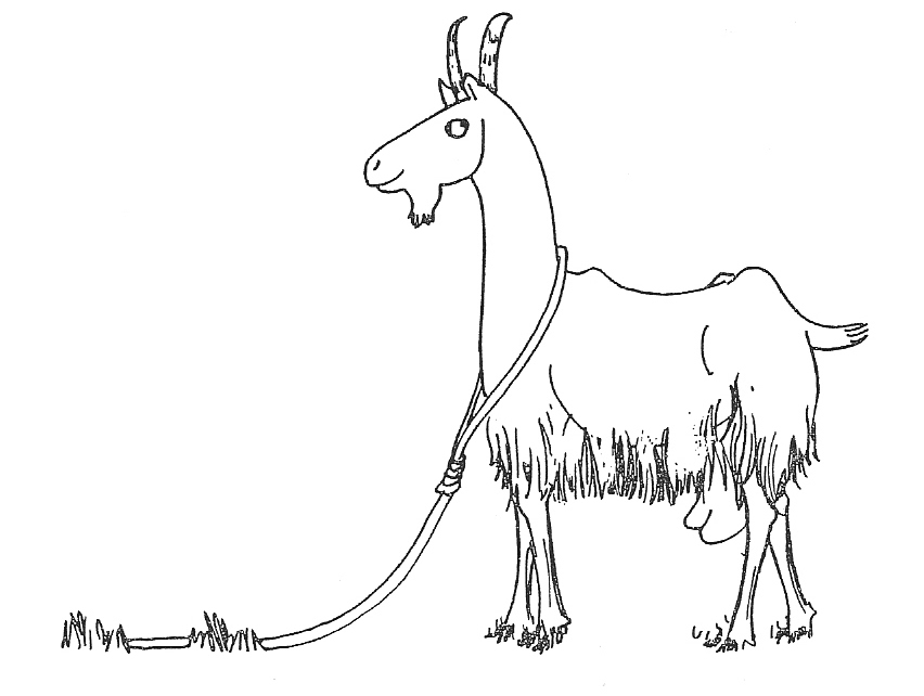 chèvre