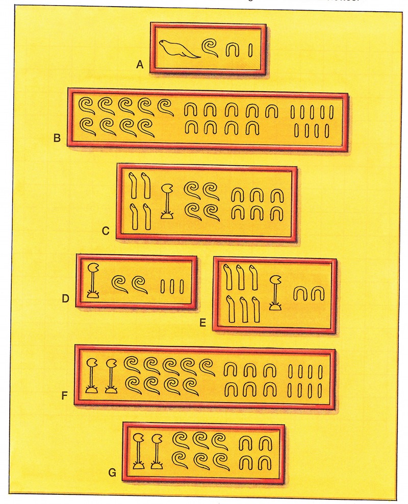page16