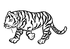 tigre